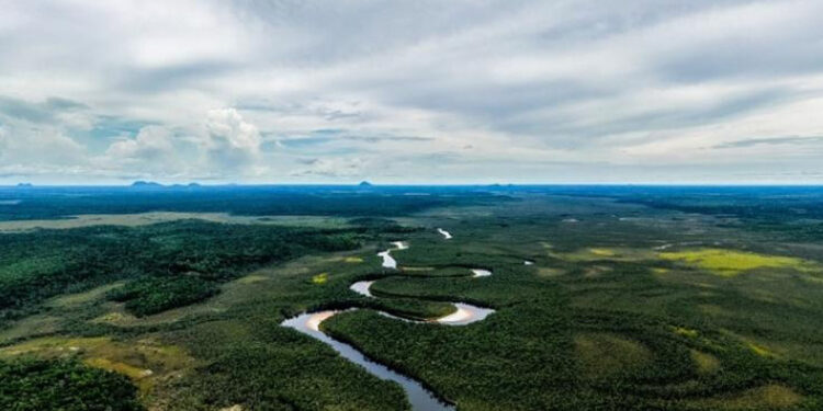 CAF invertirá US$40,000 millones para crecimiento verde