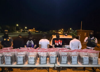 DNCD incauta 150 paquetes de cocaína en operativo en Azua