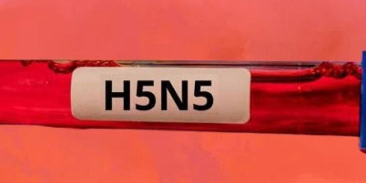 EE.UU. reporta primera muerte humana por la cepa H5N5 de gripe aviar