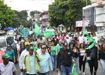 Fuerza del Pueblo marcha contra situación del país