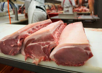 Gobierno bloquea entrada de carne de cerdo desde España por peste porcina