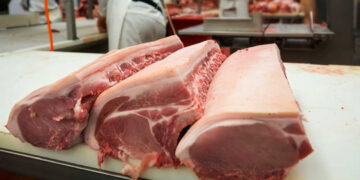 Gobierno bloquea entrada de carne de cerdo desde España por peste porcina
