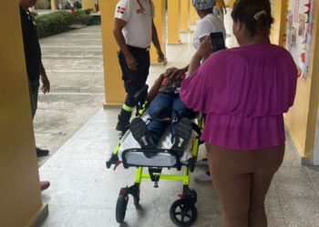 ADP demanda por fumigaciones cerca de escuela en SFM