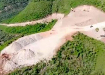 Condenan empresa agrícola por deforestación en Ocoa