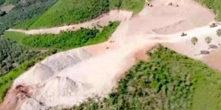 Condenan empresa agrícola por deforestación en Ocoa