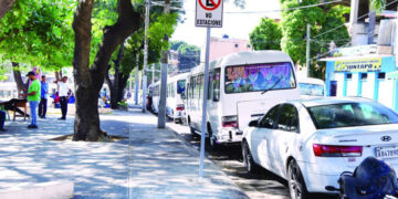 Digesett y ADN actuarán contra estacionamiento en parques