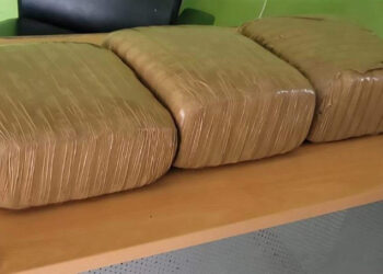 Ejército ocupa marihuana y apresa a dos hombres en Dajabón