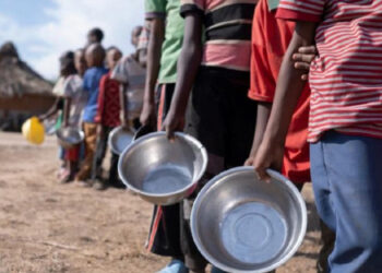 OMS alerta que más de 2 millones enfrentan inseguridad alimentaria en Kenia por sequía