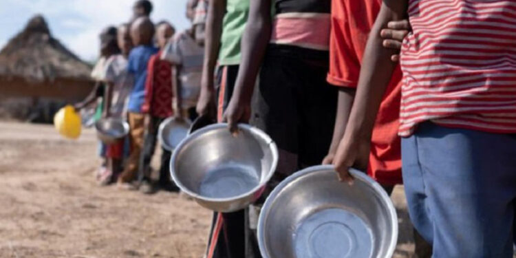 OMS alerta que más de 2 millones enfrentan inseguridad alimentaria en Kenia por sequía