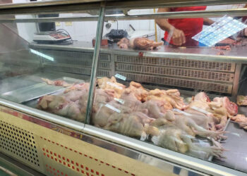 Persiste escasez de pollo en Moca, denuncian productores