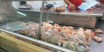 Persiste escasez de pollo en Moca, denuncian productores