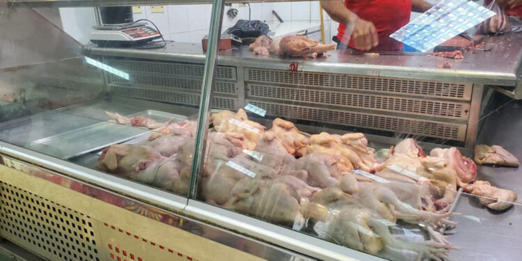 Persiste escasez de pollo en Moca, denuncian productores