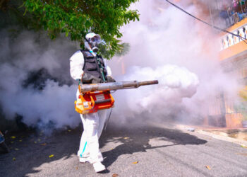 República Dominicana registra 31 casos de dengue