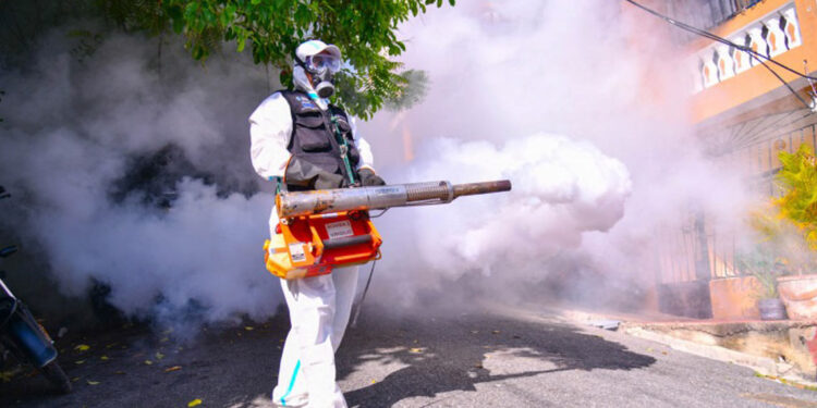 República Dominicana registra 31 casos de dengue
