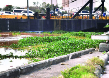 Lilas vuelven a acumularse en el puente flotante del Ozama