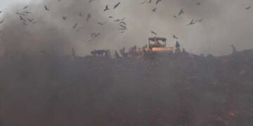 Contaminación del aire, clave en mortalidad mundial