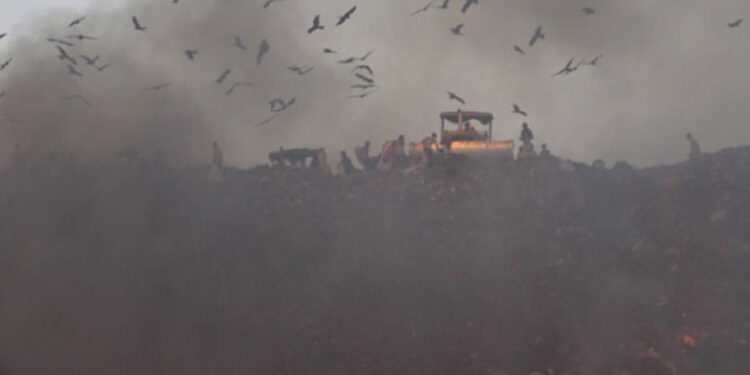 Contaminación del aire, clave en mortalidad mundial