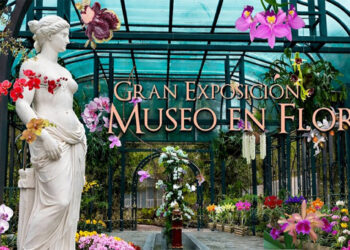 Feria de orquídeas transforma Jardín Botánico de Santiago