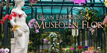 Feria de orquídeas transforma Jardín Botánico de Santiago