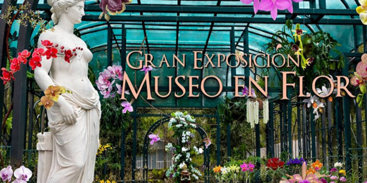 Feria de orquídeas transforma Jardín Botánico de Santiago