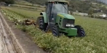 Agricultores de Constanza alertan crisis agrícola