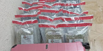 DNCD ocupa maletas con presunta marihuana en Punta Cana