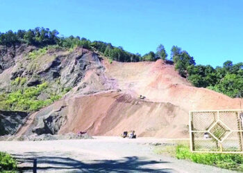 Denuncian daños ambientales por tala en La Vega