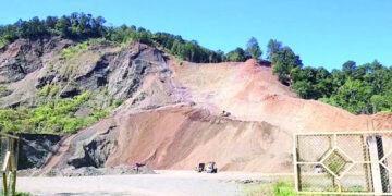Denuncian daños ambientales por tala en La Vega