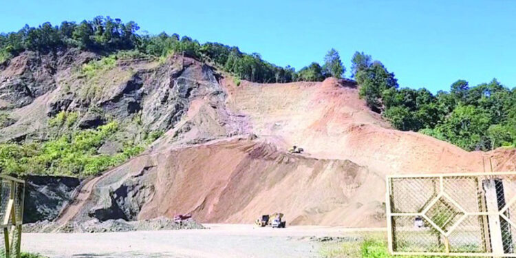 Denuncian daños ambientales por tala en La Vega