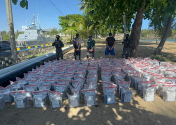 Incautan 978 paquetes de cocaína cerca de SD