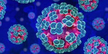 OMS confirma seis casos de hantavirus en crucero