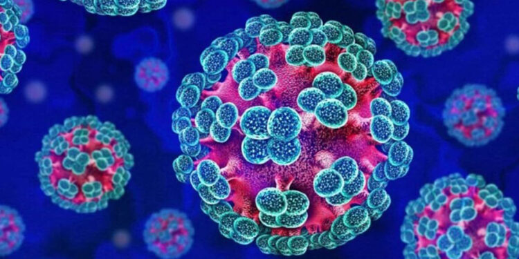 OMS confirma seis casos de hantavirus en crucero
