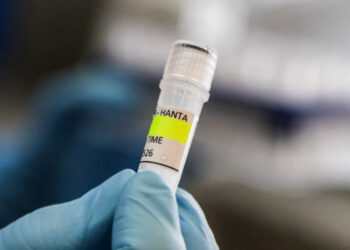 OMS descarta contagio inicial de hantavirus en crucero