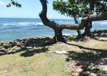 Hallan cuerpo de mujer en el Malecón de Santo Domingo