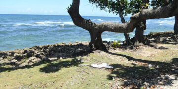 Hallan cuerpo de mujer en el Malecón de Santo Domingo