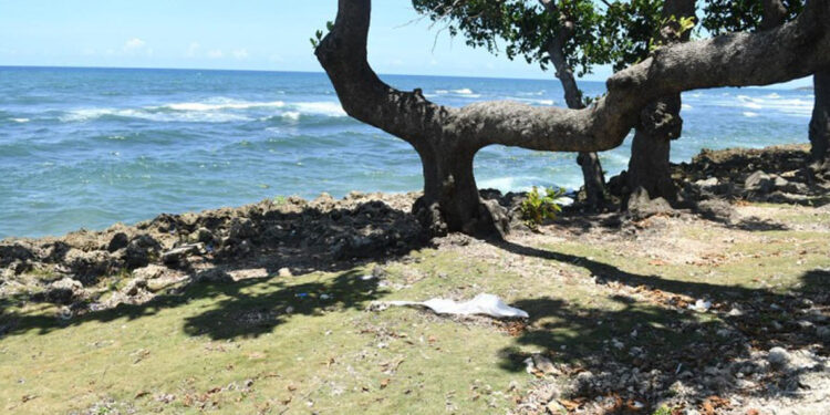 Hallan cuerpo de mujer en el Malecón de Santo Domingo