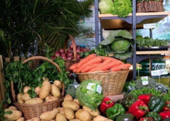 Agricultura de Constanza enfrenta crisis por importaciones