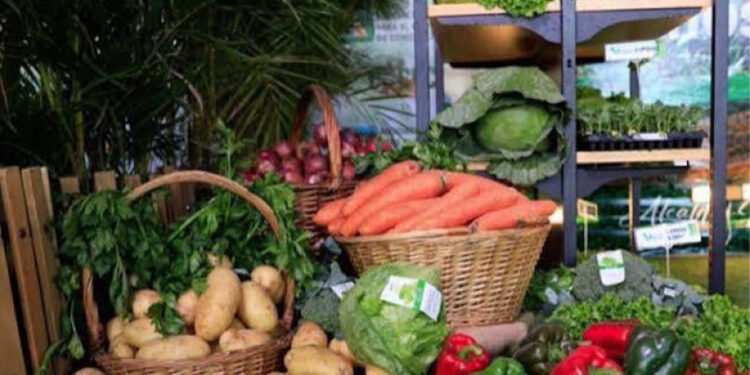 Agricultura de Constanza enfrenta crisis por importaciones