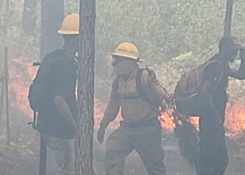 Controlan incendio forestal en Sierra de Bahoruco