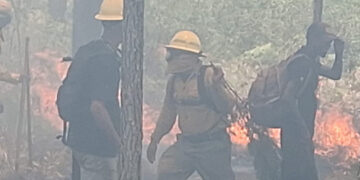 Controlan incendio forestal en Sierra de Bahoruco