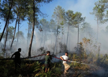 Francia evacúa a 4,000 personas por incendios forestales