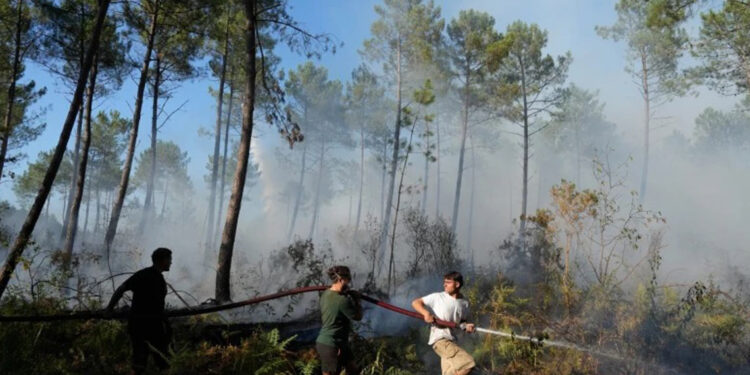 Francia evacúa a 4,000 personas por incendios forestales
