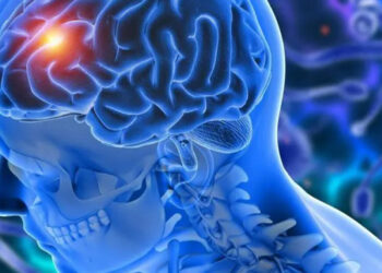 Hábitos diarios mejoran la salud cognitiva en mayores