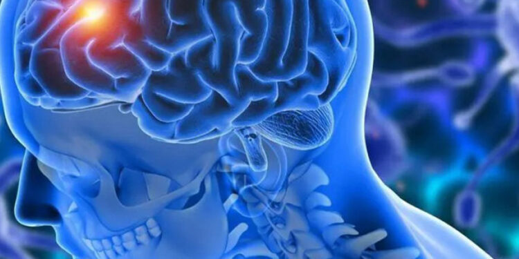 Hábitos diarios mejoran la salud cognitiva en mayores