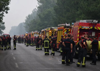 Incendios en Madrid amenazan animales y ganaderos