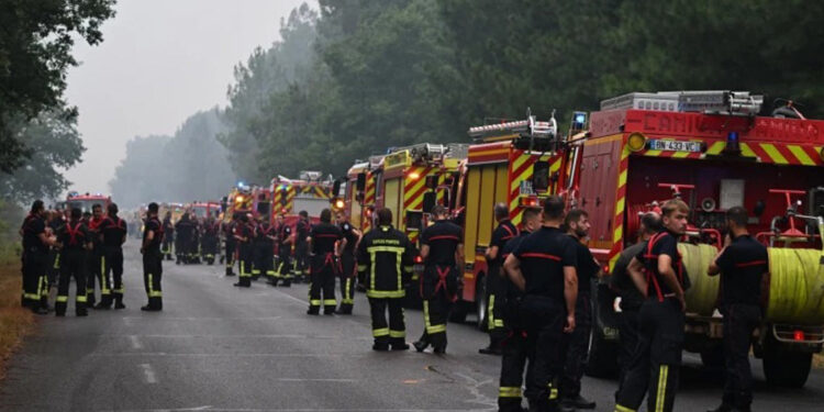 Incendios en Madrid amenazan animales y ganaderos