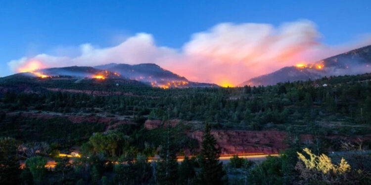 Muere piloto al combatir incendio forestal en Colorado