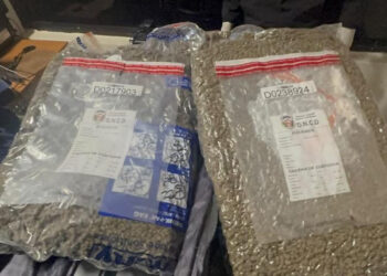 Ocupan 28 libras de marihuana en el AILA
