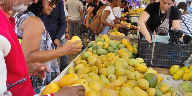 Veto de EE. UU. provocará pérdidas millonarias al mango de Baní