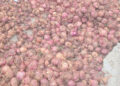 Productores de Ocoa reclaman pago de RD$100 millones